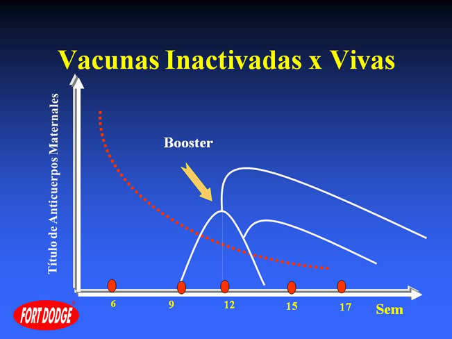 Conceptos en Vacunacin