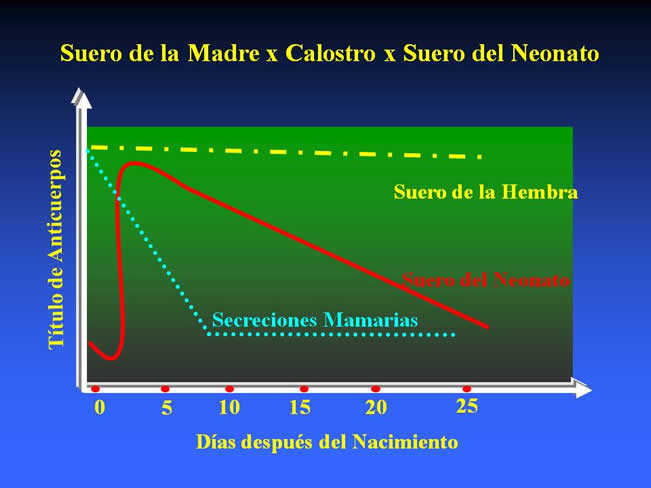 Conceptos en Vacunacin