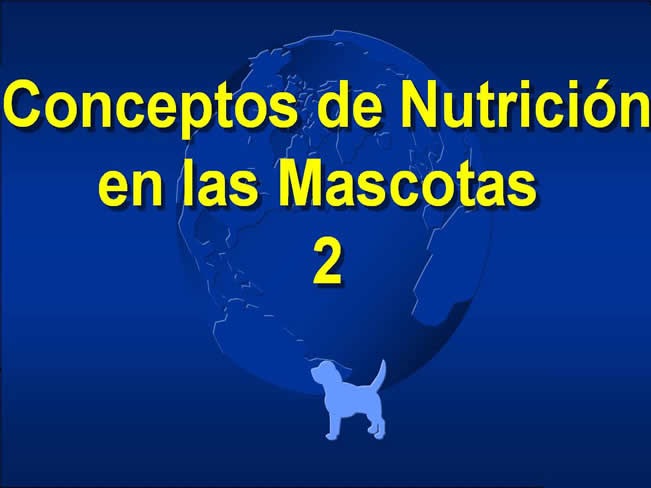 Nutricin bsica 2