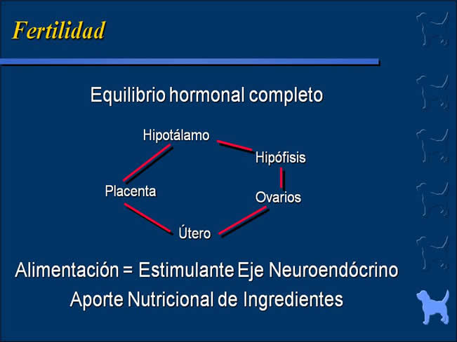 Nutricin bsica 3