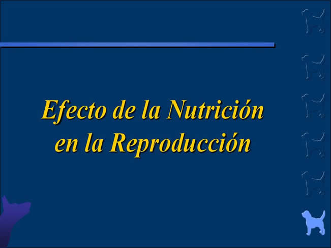 Nutricin bsica 3