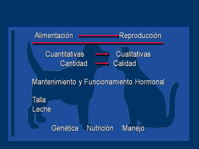 Nutricin bsica 3