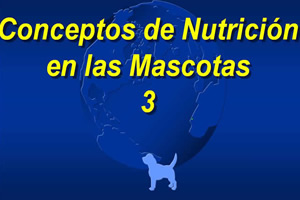 Nutricin bsica 3