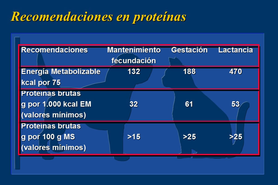 Nutricin bsica