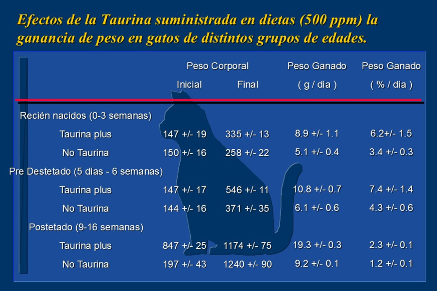 Nutricin bsica