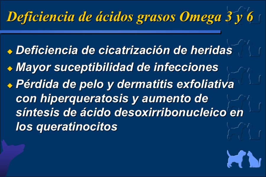 Nutricin bsica