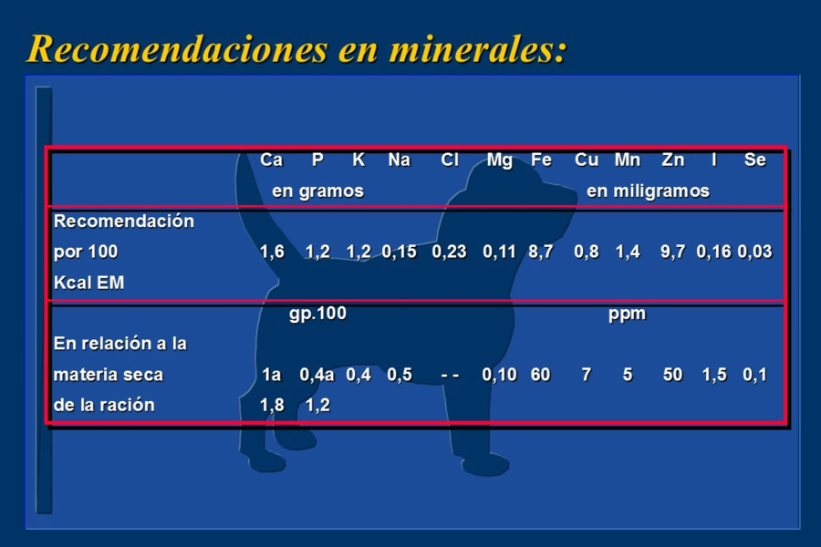 Nutricin bsica