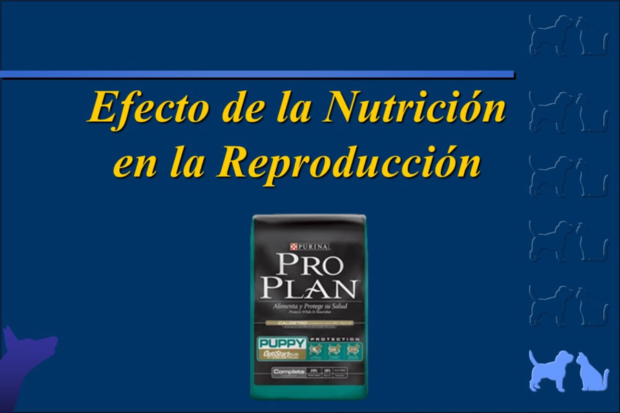 Nutricin bsica