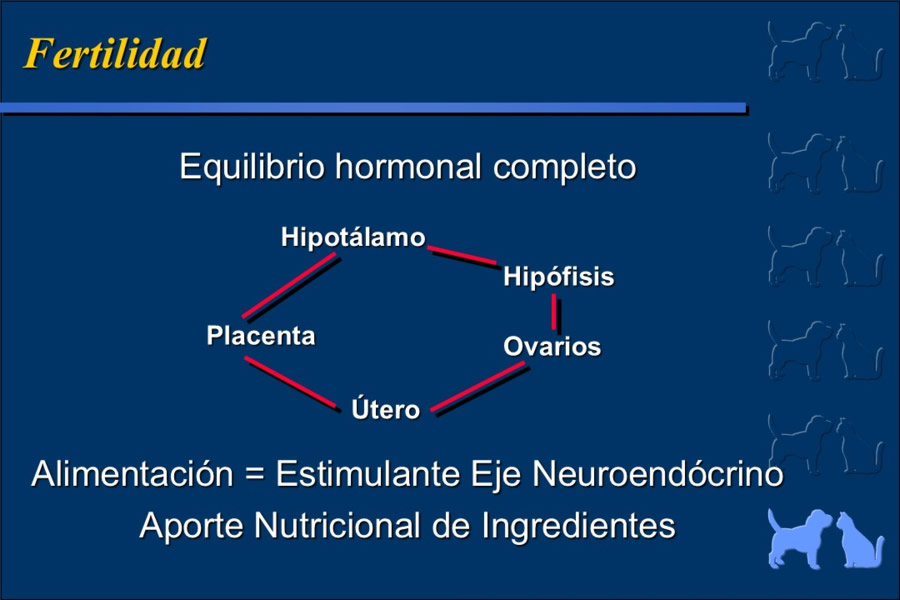 Nutricin bsica