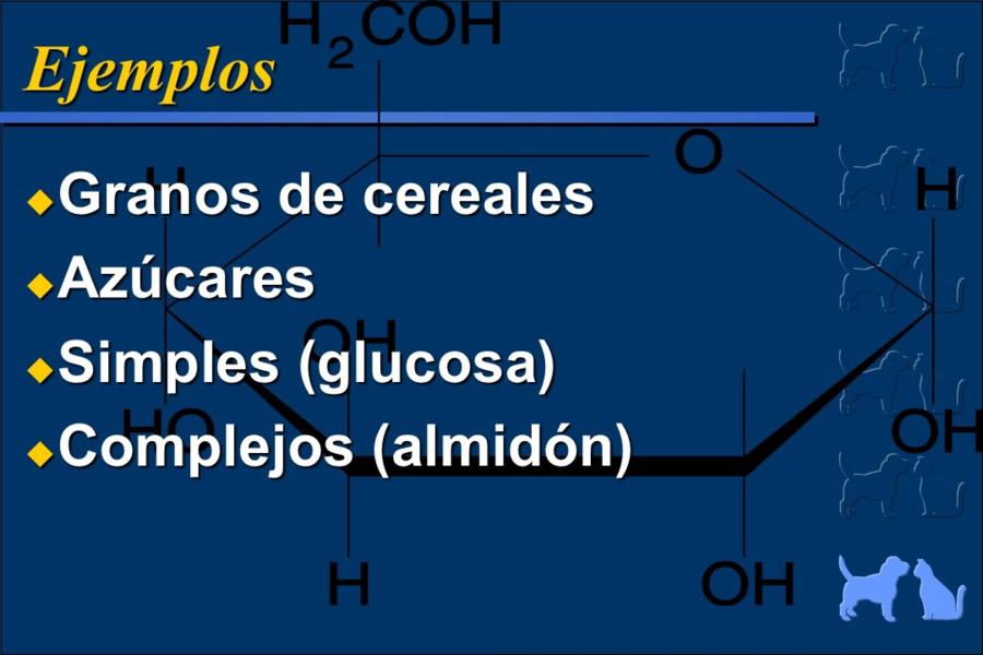 Nutricin bsica