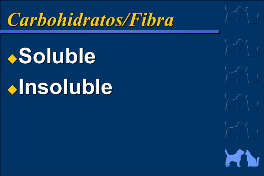 Nutricin bsica