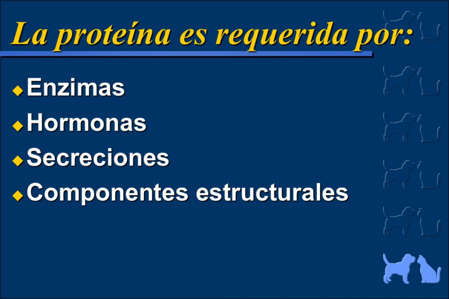 Nutricin bsica