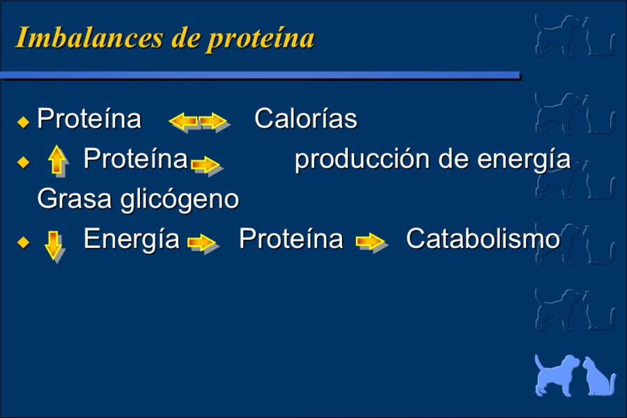 Nutricin bsica