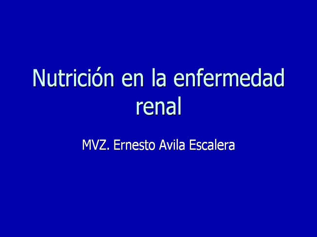 Nutricin en la enfermedad renal