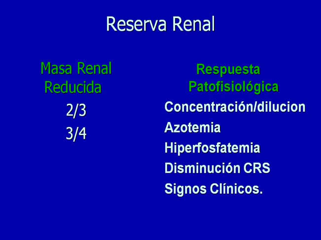 Nutricin en la enfermedad renal