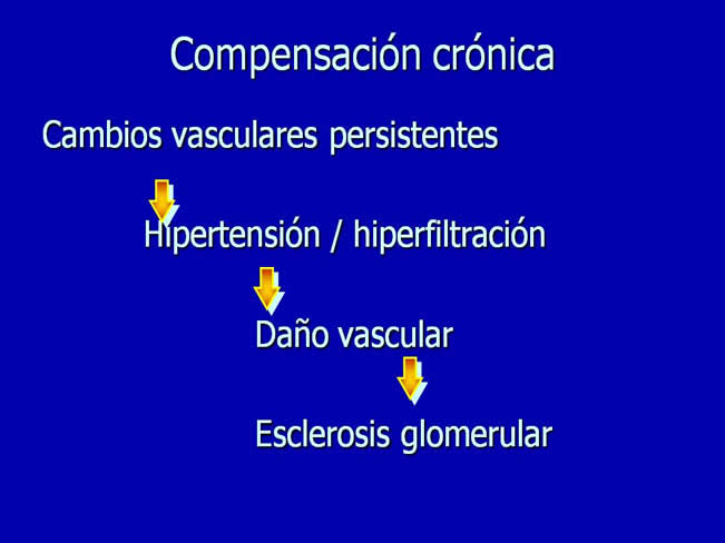 Nutricin en la enfermedad renal