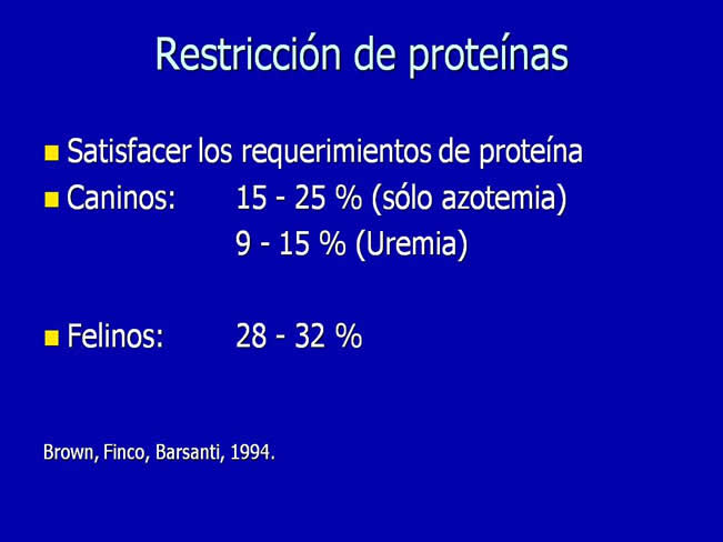 Nutricin en la enfermedad renal