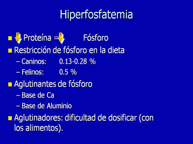 Nutricin en la enfermedad renal