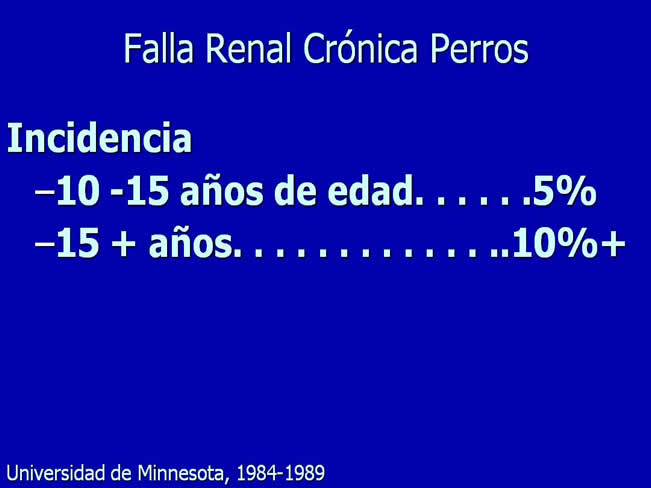 Nutricin en la enfermedad renal