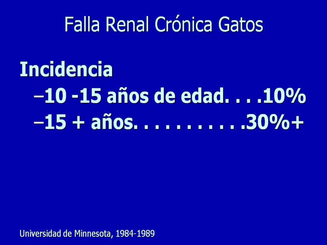 Nutricin en la enfermedad renal