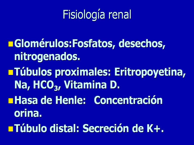 Nutricin en la enfermedad renal