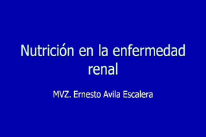 utricin en la enfermedad renal