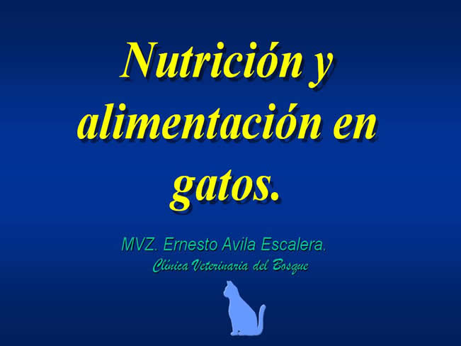 Nutricin en gatos