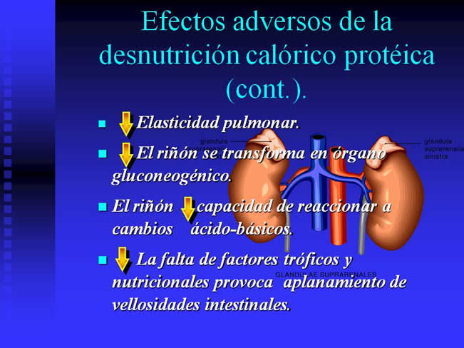 Nutricin Paraenteral Total