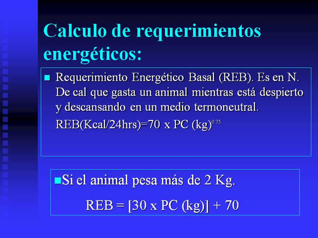 Nutricin Paraenteral Total