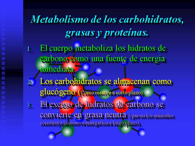 Nutricin Paraenteral Total