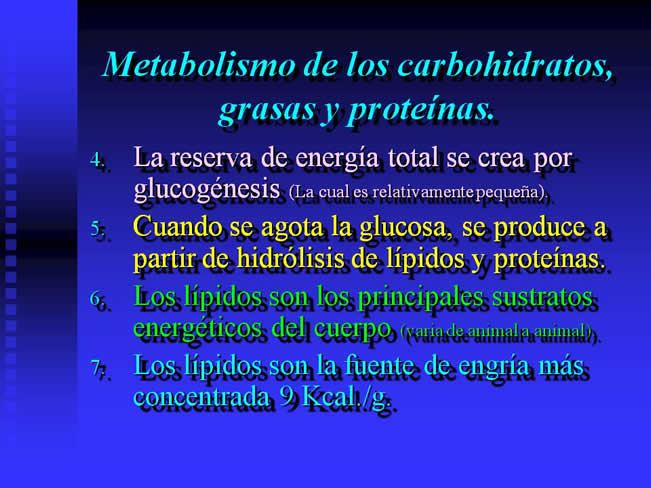 Nutricin Paraenteral Total