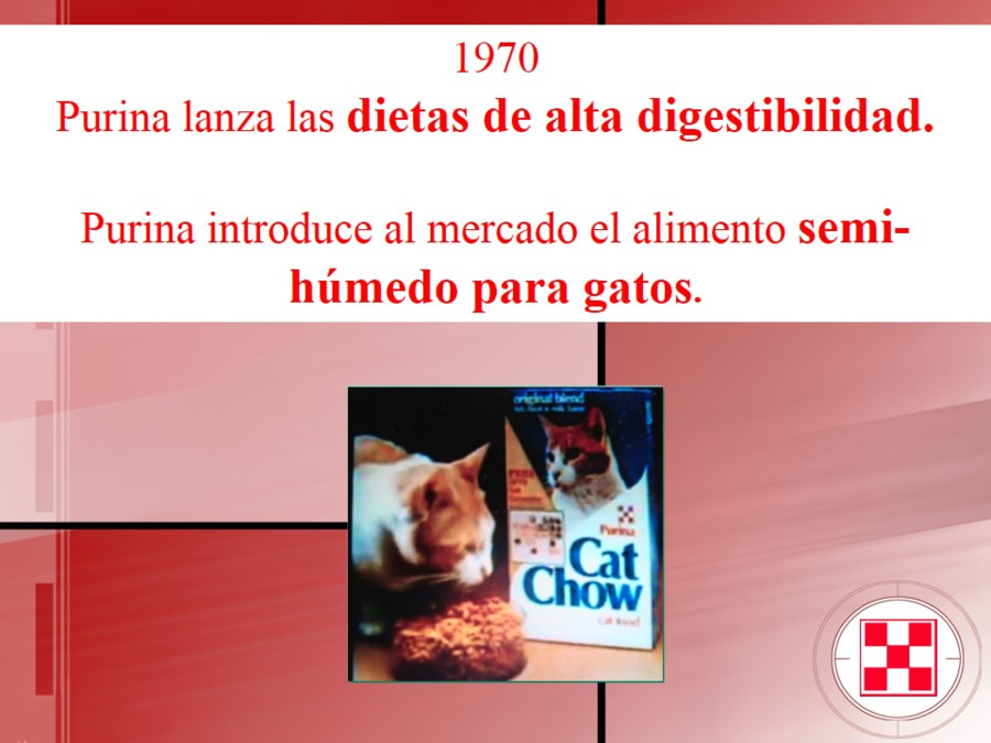 Purina, su Filosofa