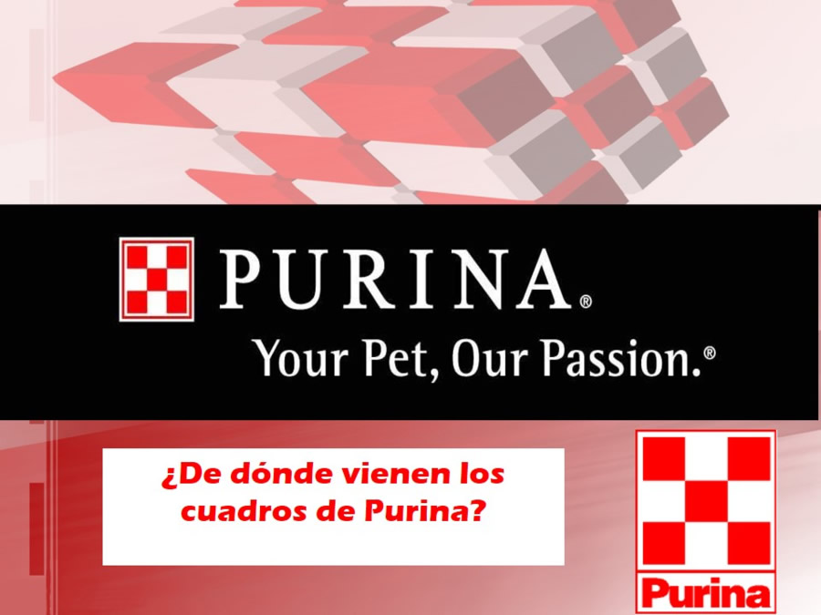 Purina, su Filosofa