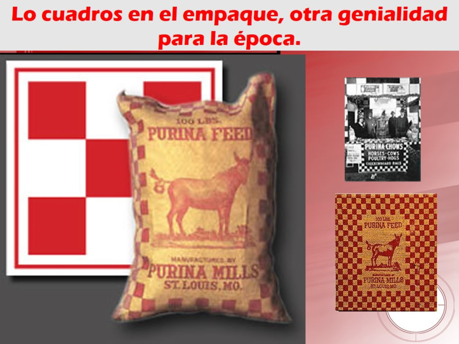 Purina, su Filosofa