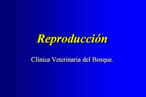 Reproduccin