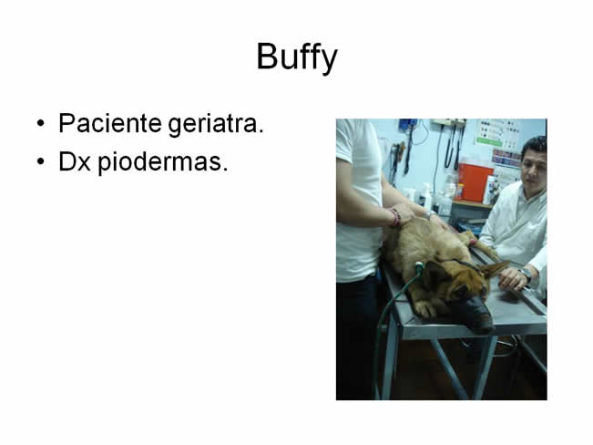 Factor de Transferencia Dermatologa