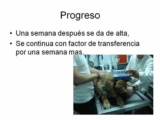 Factor de Transferencia Dermatologa