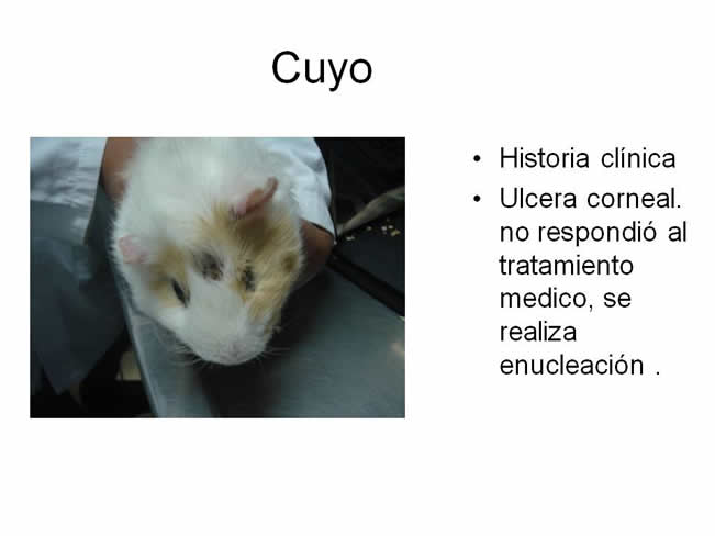 Factor de Transferencia Dermatologa