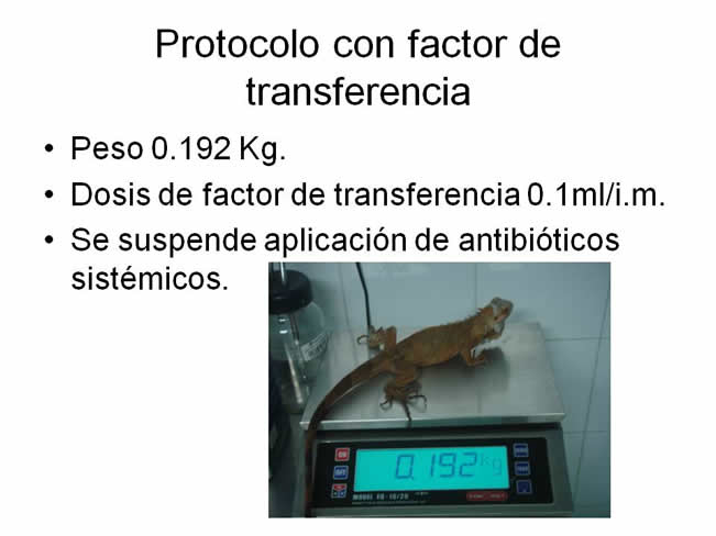 Factor de Transferencia Dermatologa