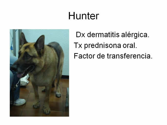 Factor de Transferencia Dermatologa