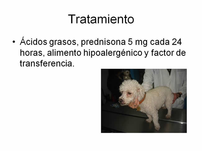 Factor de Transferencia Dermatologa