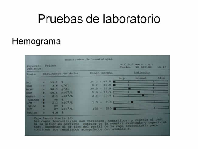 Factor de Transferencia Enfermedades virales