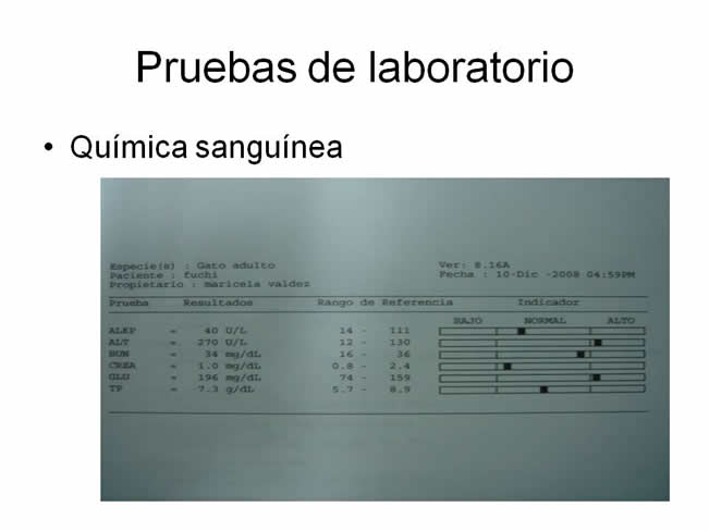 Factor de Transferencia Enfermedades virales