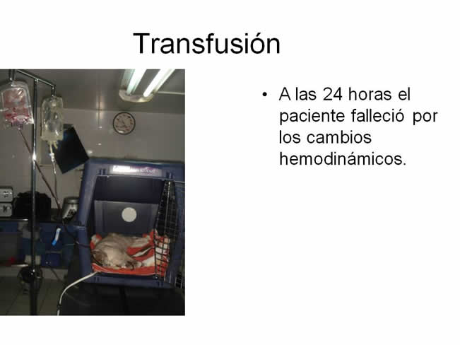 Factor de Transferencia Enfermedades virales