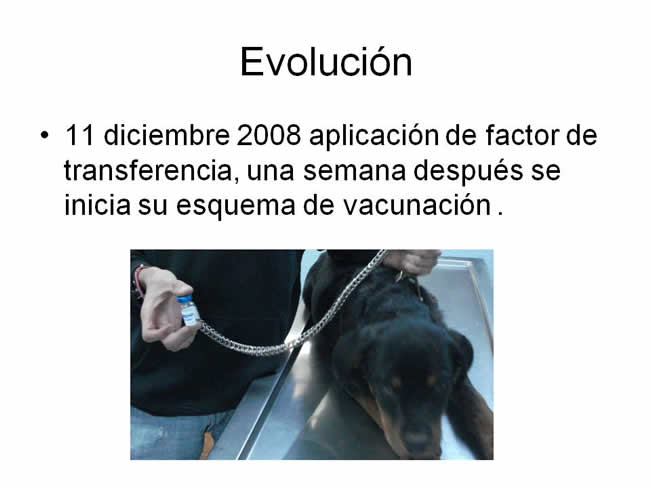 Factor de Transferencia Enfermedades virales