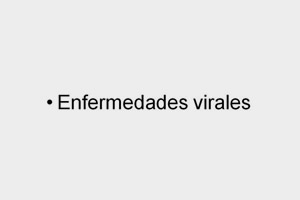 Factor de Transferencia Enfermedades virales