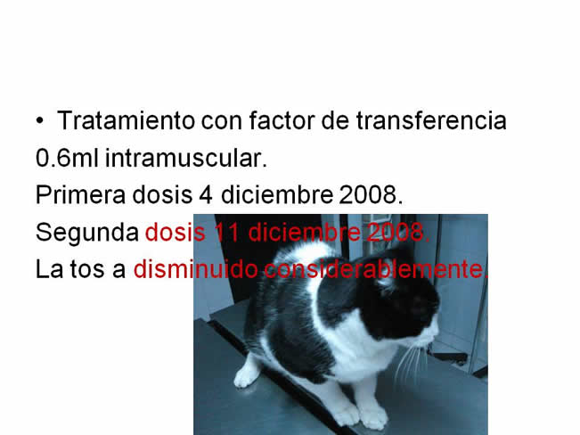 Factor de Transferencia Casos Clnicos (completos)