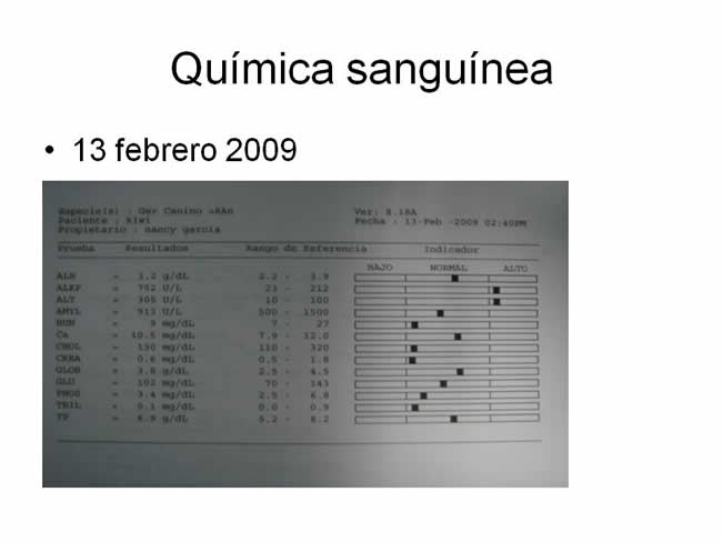 Factor de Transferencia Casos Clnicos (completos)