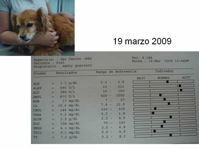 Factor de Transferencia Casos Clnicos (completos)