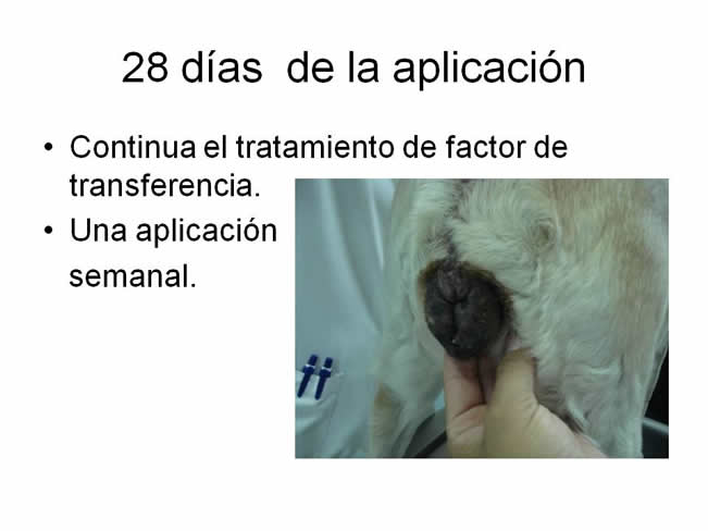 Factor de Transferencia Casos Clnicos (completos)